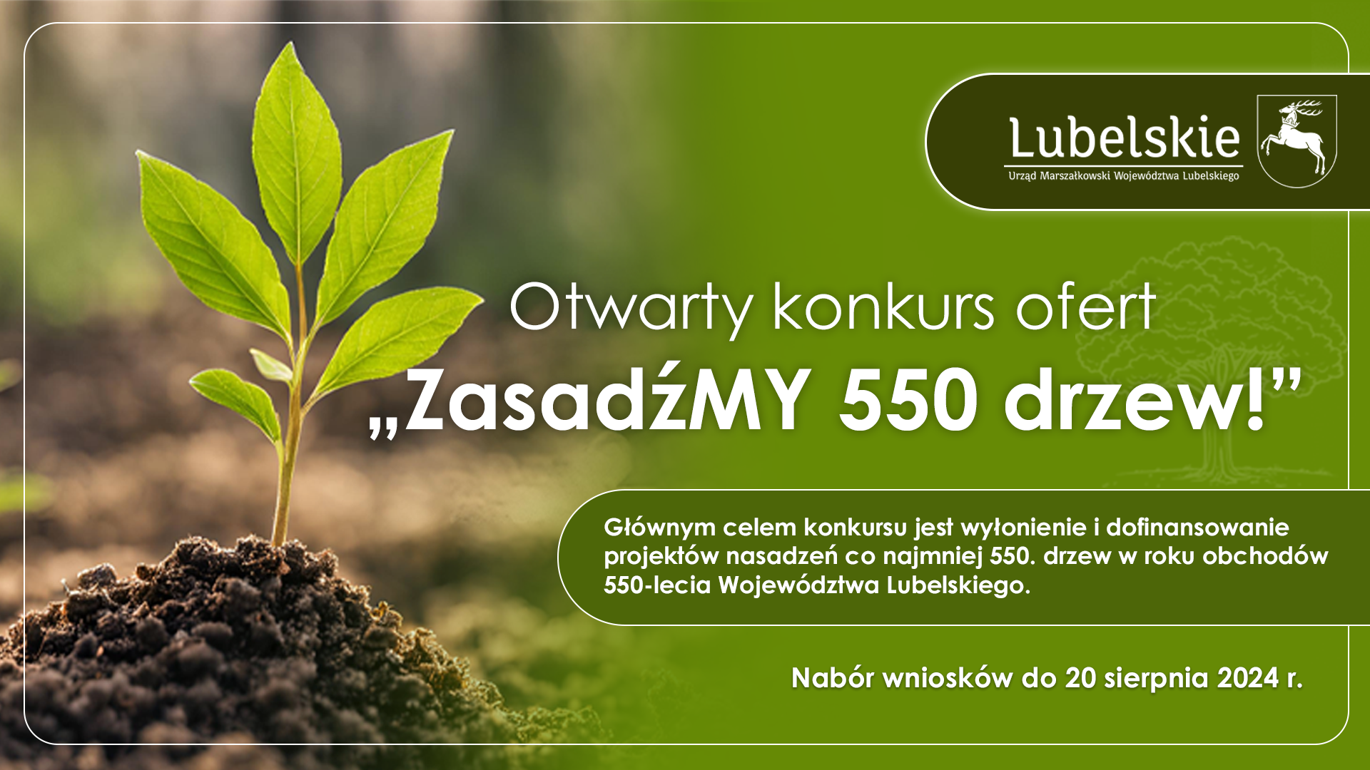 Otwarty konkurs ofert „ZasadźMy 550 drzew!”