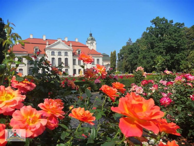 pałac w Kozłówce na pierwszym planie róże