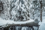 2.	Zdjęcie lutego i zdjęcie roku: „Wodospad na Jeleniu”, autor Wojciech Młynarski, Park Krajobrazowy Puszczy Solskiej