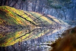 4.	Zdjęcie kwietnia: „Zwierciadełko w środku lasu”, autor Gabriela Ostrowska, Poleski Park Krajobrazowy