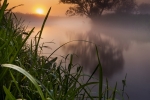 6.	Zdjęcie czerwca: „Czerwcowy wschód słońca nad rzeką Wieprz”, autor Anna Langwińska-Wołodkiewicz, Nadwieprzański Park Krajobrazowy