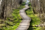 ZDJĘCIE KWIETNIA – Tomasz Orzeszko, „Wytchnienie” (Poleski Park Narodowy)