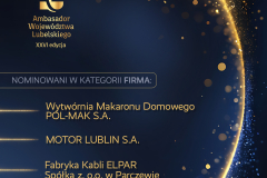 Nominowani do Honorowego Tytułu Ambasadora Województwa Lubelskiego w kategorii Firma