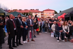 Widok na plac miejski na którym znajduje się około stu osób uczestniczących w wydarzeniu