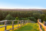 1 miejsce: Dariusz Nicgorski, „Roztoczański Park Narodowy – widok z Białej Góry” (Roztoczański Park Narodowy - RPN)